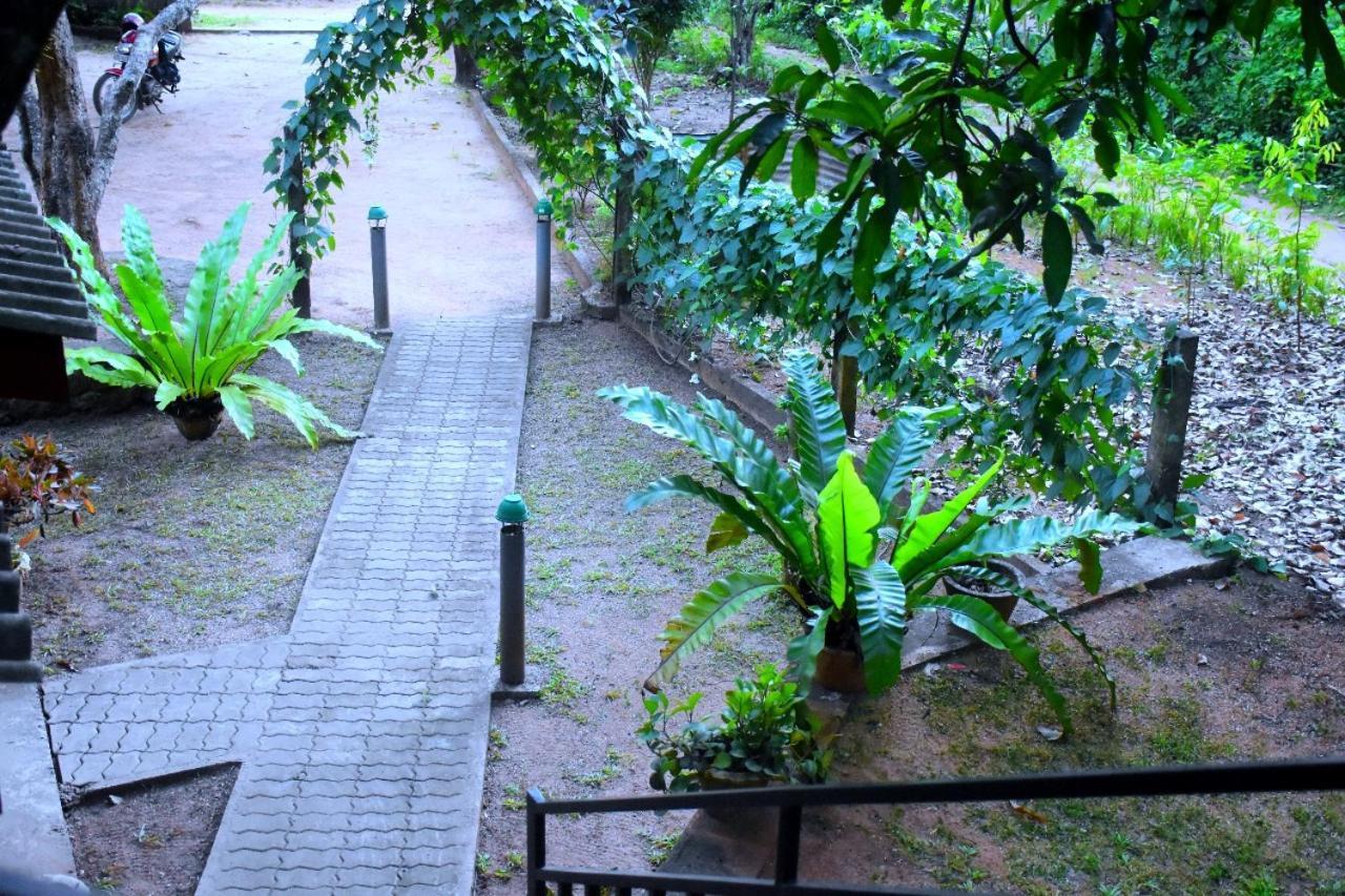 Wild Heaven Udawalawe Hotel Buitenkant foto