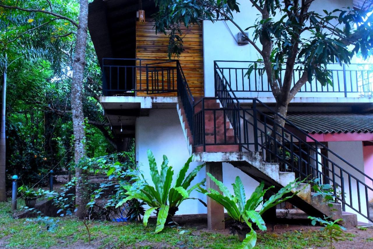 Wild Heaven Udawalawe Hotel Buitenkant foto