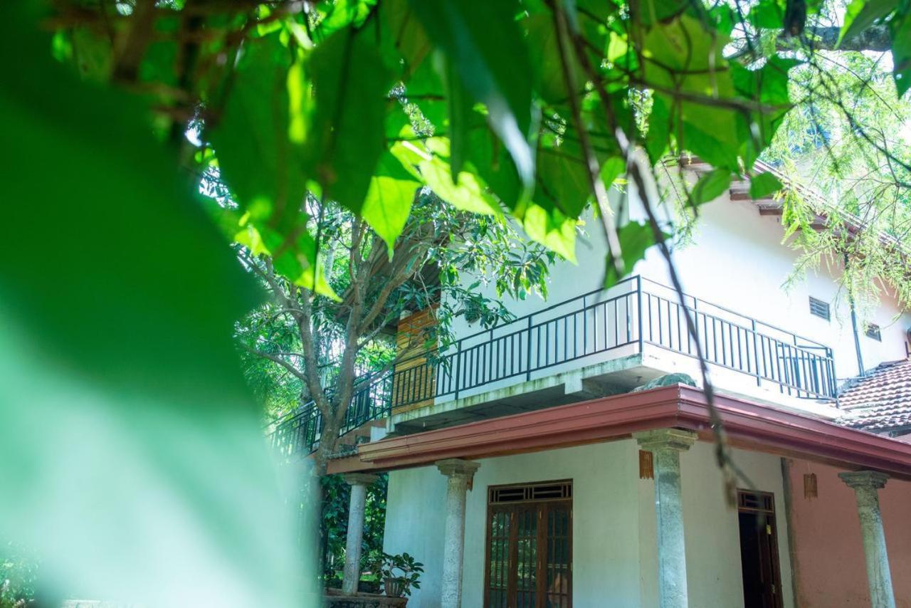Wild Heaven Udawalawe Hotel Buitenkant foto