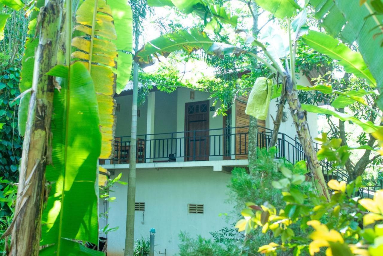 Wild Heaven Udawalawe Hotel Buitenkant foto