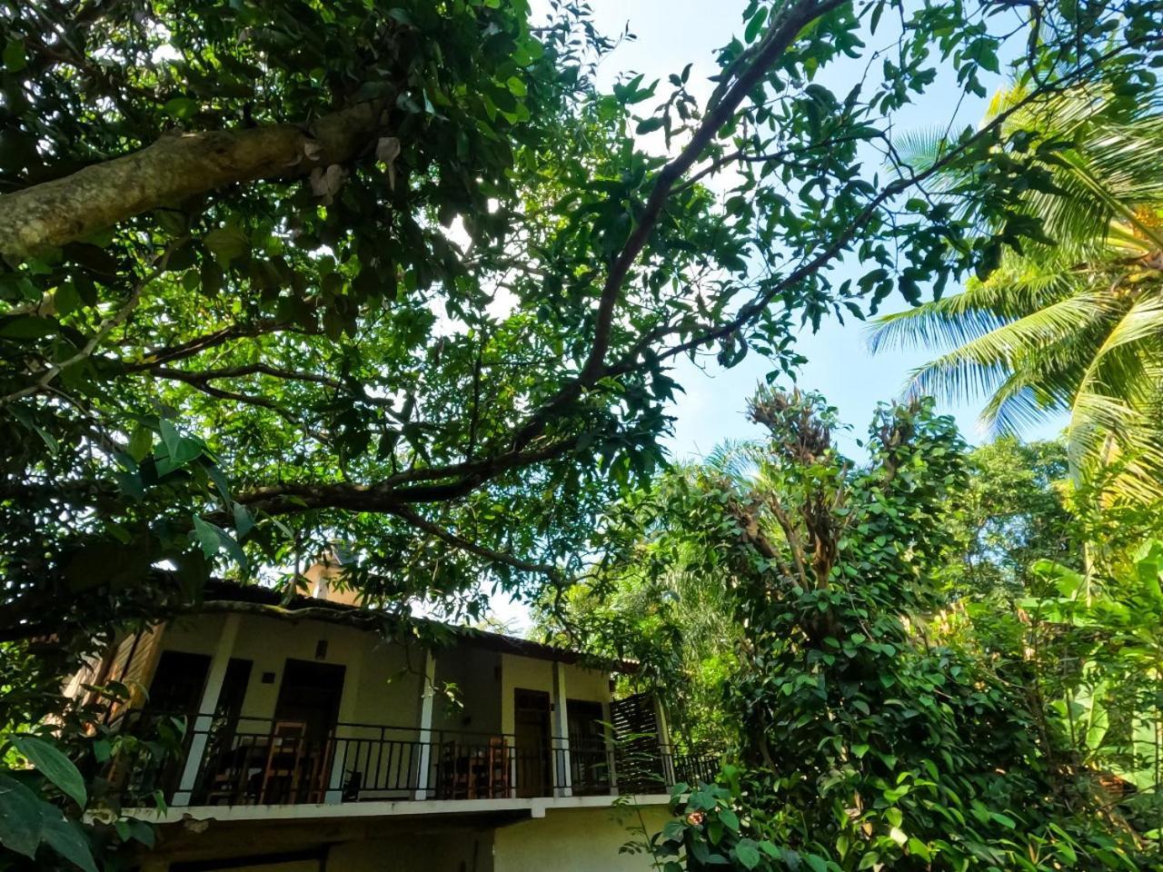Wild Heaven Udawalawe Hotel Buitenkant foto