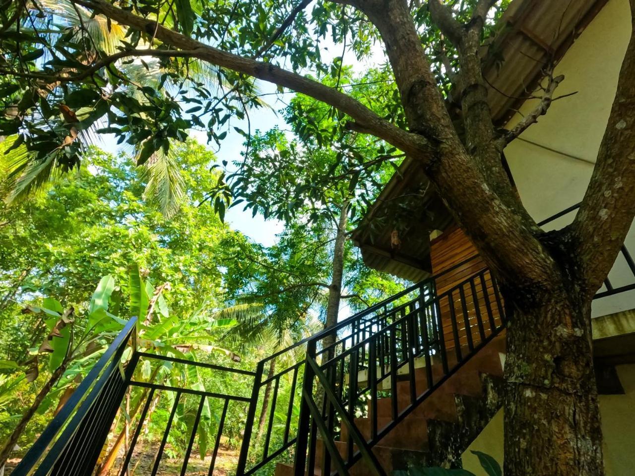 Wild Heaven Udawalawe Hotel Buitenkant foto