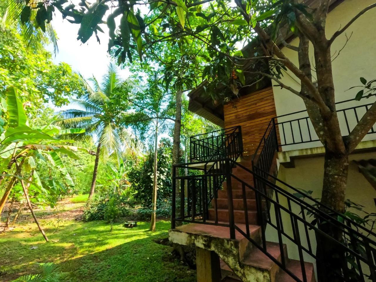 Wild Heaven Udawalawe Hotel Buitenkant foto