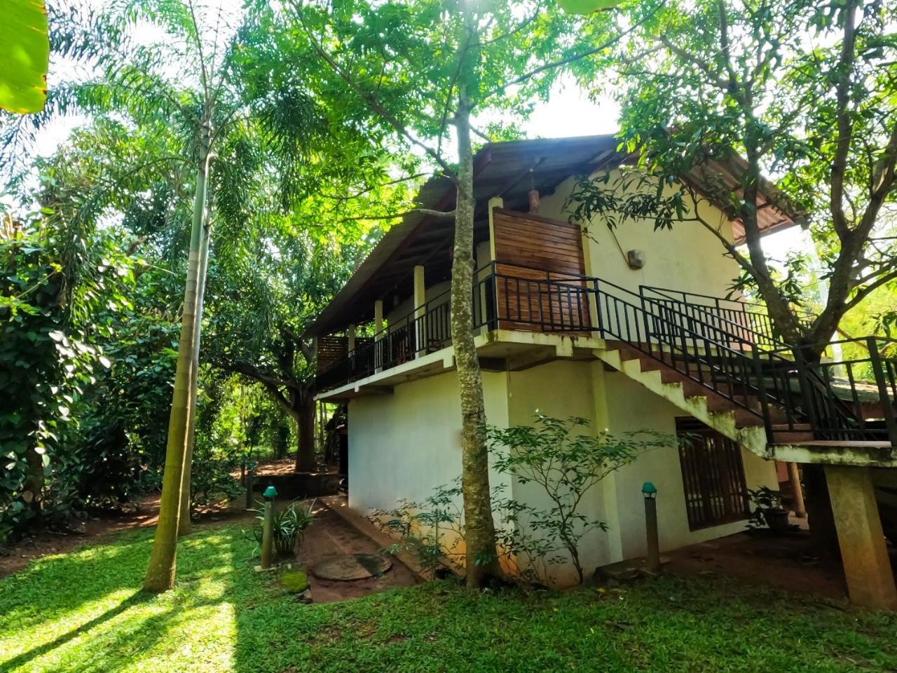 Wild Heaven Udawalawe Hotel Buitenkant foto