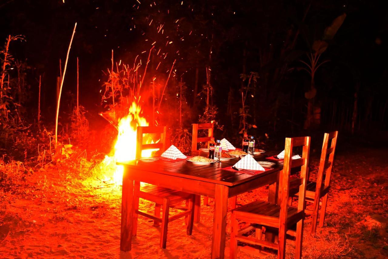 Wild Heaven Udawalawe Hotel Buitenkant foto