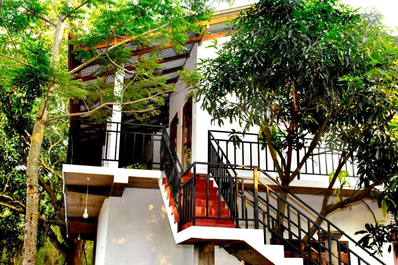 Wild Heaven Udawalawe Hotel Buitenkant foto