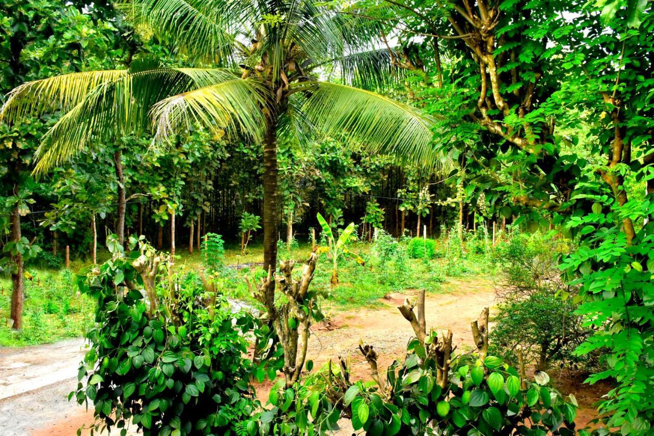 Wild Heaven Udawalawe Hotel Buitenkant foto