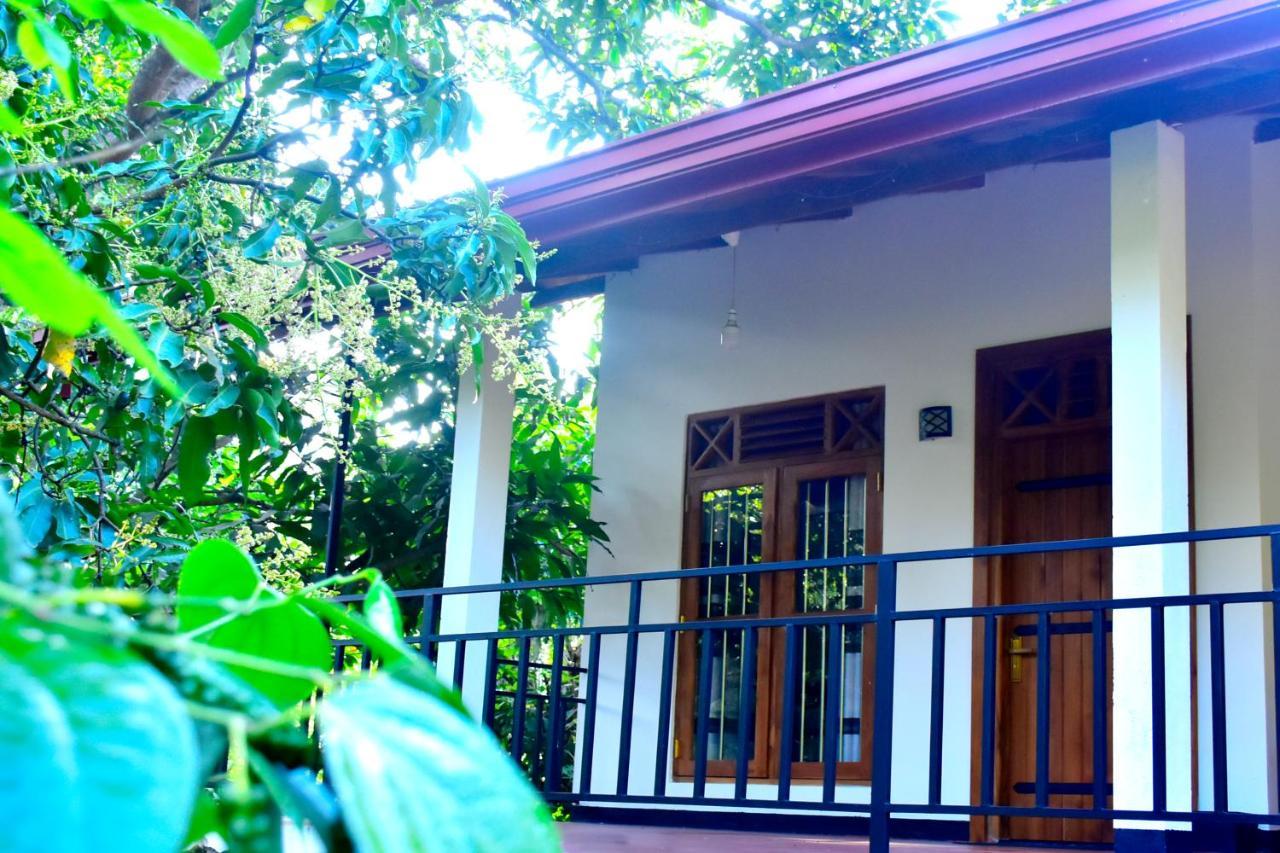 Wild Heaven Udawalawe Hotel Buitenkant foto